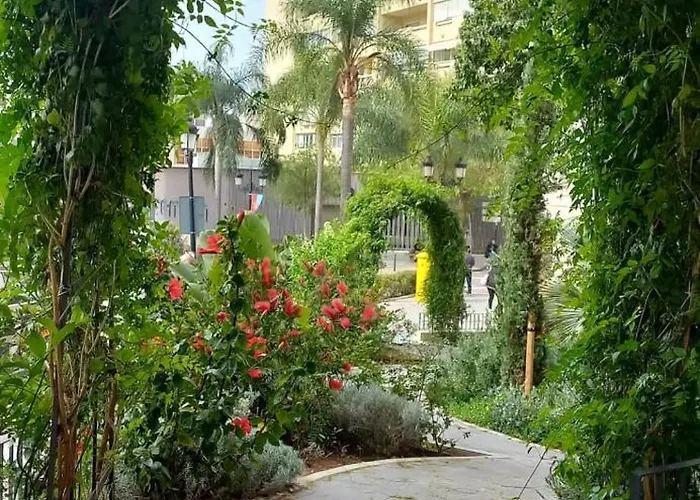 Andreas Centro * Marbella